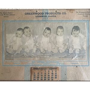 Dionne Quintuplets Vintage 1936 Advertising Calendar With Picture & Names Framed